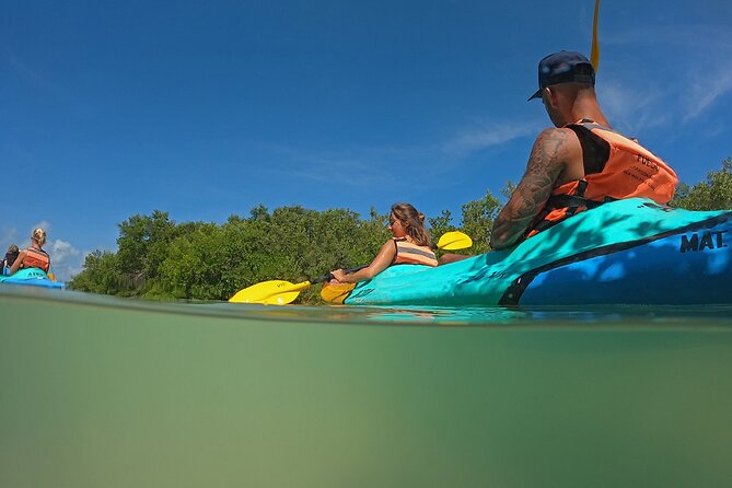 Kayaking Tour Through the Mangroves in Isla Holbox - Wildlife Watching: Flamingos, Crocodiles, and More