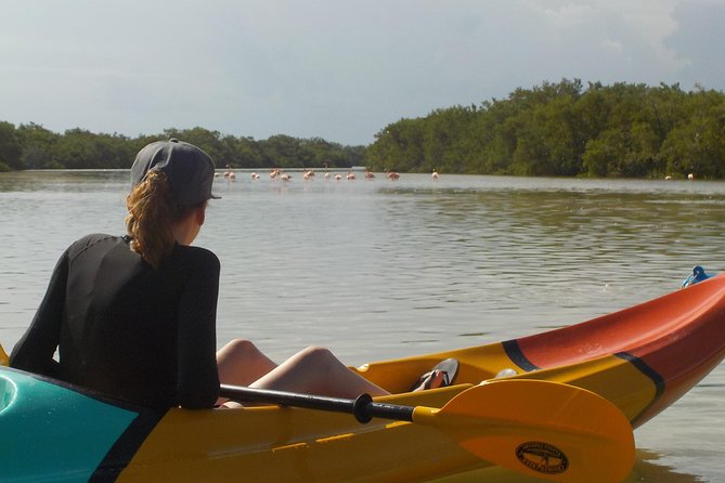 Kayaking Tour Through the Mangroves in Isla Holbox - The Overall Value and Customer Satisfaction