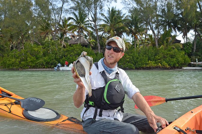 Kayaking with coastal wildlife in Sarasota Bay - The Overall Experience and Suitability