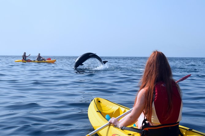 Kayaking with Dolphins and Turtles and Snorkelling in Tenerife - Route and Scenic Highlights Along Tenerife’s West Coast