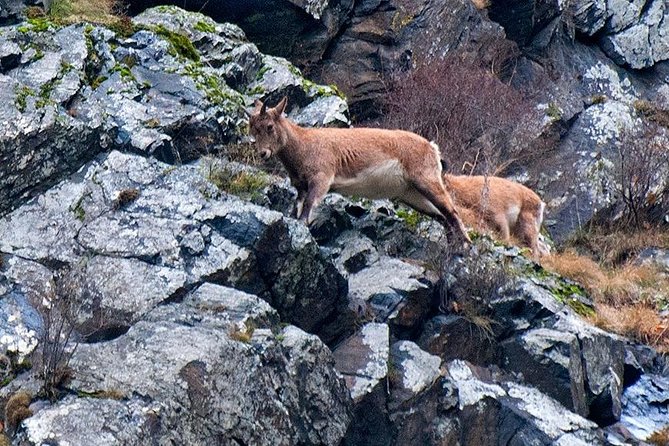 Kazbegi, Ananuri , Gudauri and Zhinvali (Group Tour) - Key Points