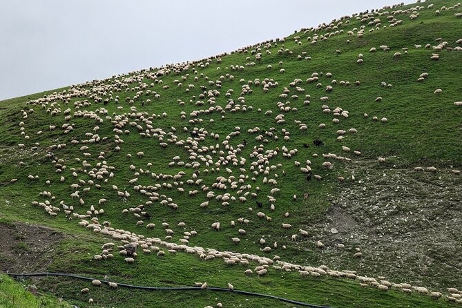 Kazbegi & Gudauri Private Full-Day Tour From Tbilisi - Kazbegi & Gudauri Tour Starts with a Scenic Drive Up the Georgian Military Highway