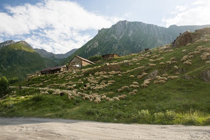 Kazbegi - One Day Private Trekking Tour to Truso Valley - Practical Logistics: Meeting Point and Transportation