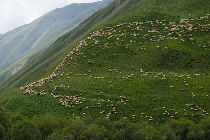 Kazbegi - One Day Private Trekking Tour to Truso Valley - The Unique Attractions: Zakagori Fortress and Keterisi Monastery