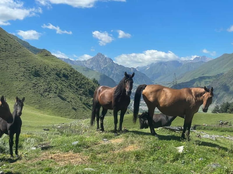 Kazbegi:Sunset Horse Riding Tour from Rooms Hotel Kazbegi - Kazbegi: Sunset Horse Riding Tour from Rooms Hotel Kazbegi – A Scenic Escape in Georgia