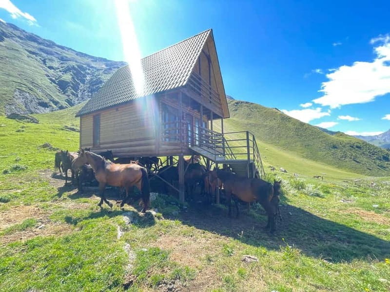 Kazbegi:Sunset Horse Riding Tour from Rooms Hotel Kazbegi - Final Thoughts on the Kazbegi Sunset Horse Riding Tour