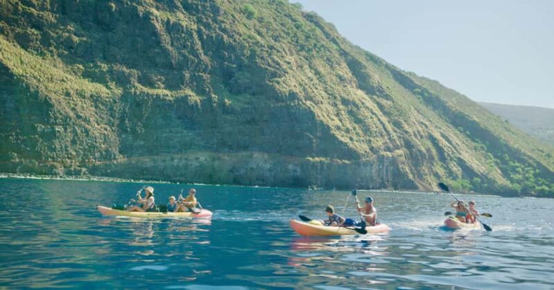 Kealakekua Bay: Guided Kayak & Snorkel Adventure - Exploring Kealakekua Bay’s Marine Conservation District