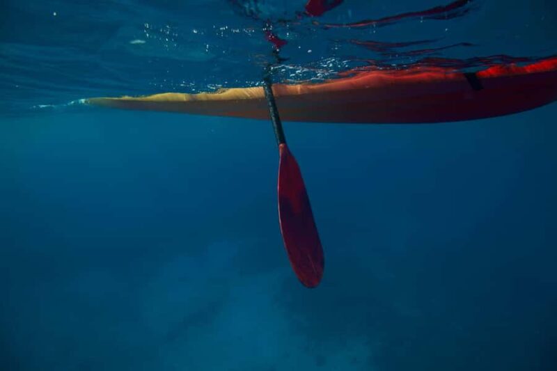 Kealakekua Bay: Guided Kayak & Snorkel Adventure - Snorkeling at Kaawaloa: Underwater Encounters with Colorful Reefs