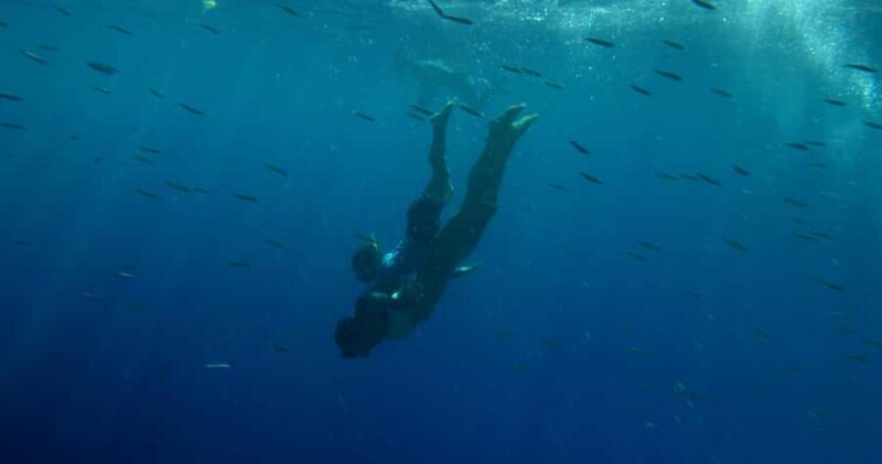 Kealakekua Bay: Guided Kayak & Snorkel Adventure - Suitability and Recommendations for Participants