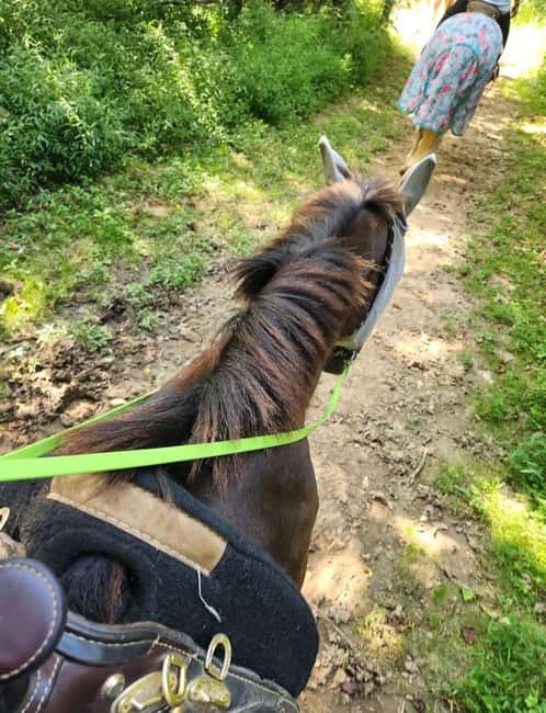 Keeneland: Horseback Riding Experience with Guide - The Guided Horseback Ride Through Scenic Landscapes