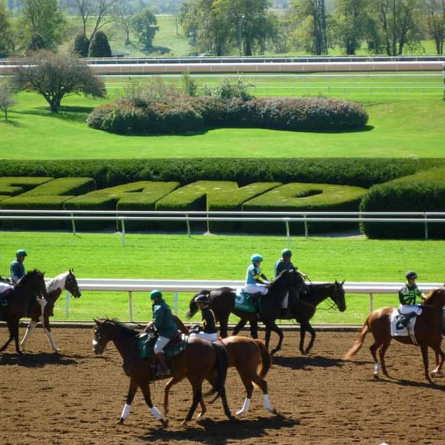 Keeneland: Horseback Riding Experience with Guide - Safety Guidelines and Rider Requirements