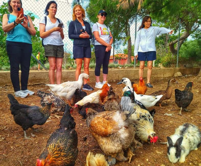 Kefalonia: Farm-to-Table Experience with Tastings - Kefalonia: Farm-to-Table Experience with Tastings — Authentic Flavors and Scenic Orchards in 4 Hours