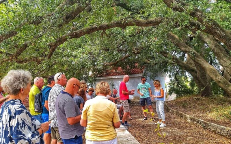 Kefalonia: Farm-to-Table Experience with Tastings - Watching Traditional Kefalonian Cooking Demonstrations