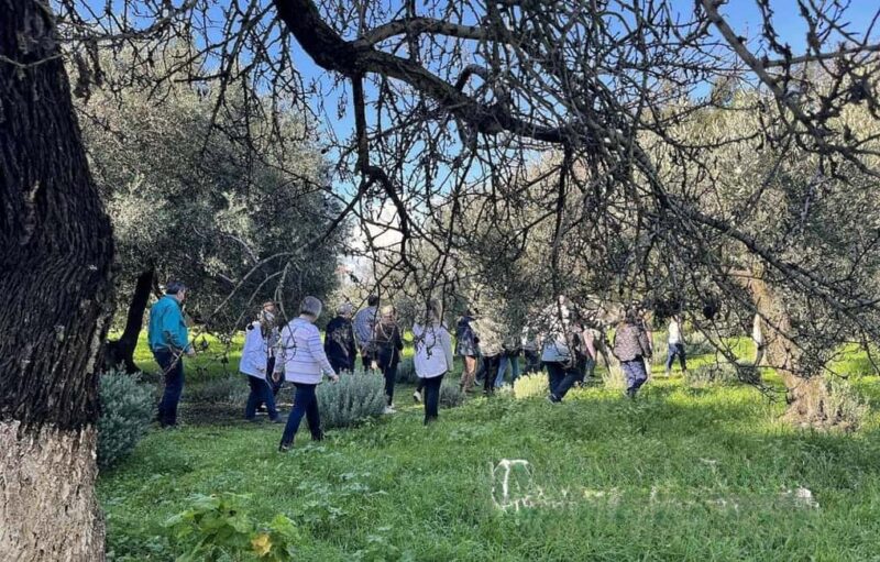 Kefalonia: Farm-to-Table Experience with Tastings - Who Will Appreciate This Experience Most