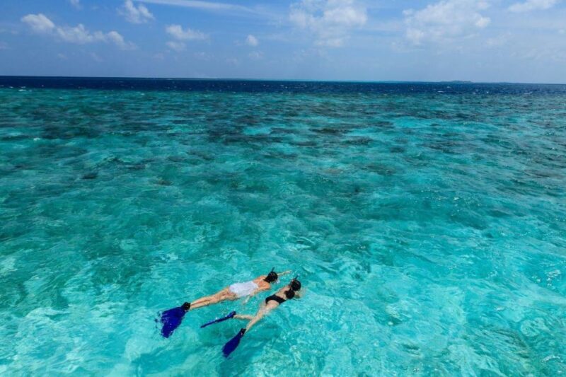 Kefalonia: Ithaca Cruise from Agia Efimia with Bus Transfer - Considerations for Different Travelers