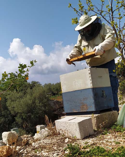 Kefalonia: Private Food and Wine Tastings with Beach Stop - Sampling Kefalonia’s Indigenous Wines at a Local Winery