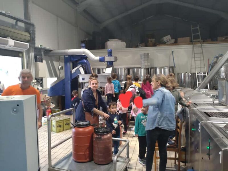 Kefalonia: Private Food and Wine Tastings with Beach Stop - Relaxing at Avithos Beach: Scenery and Swimming