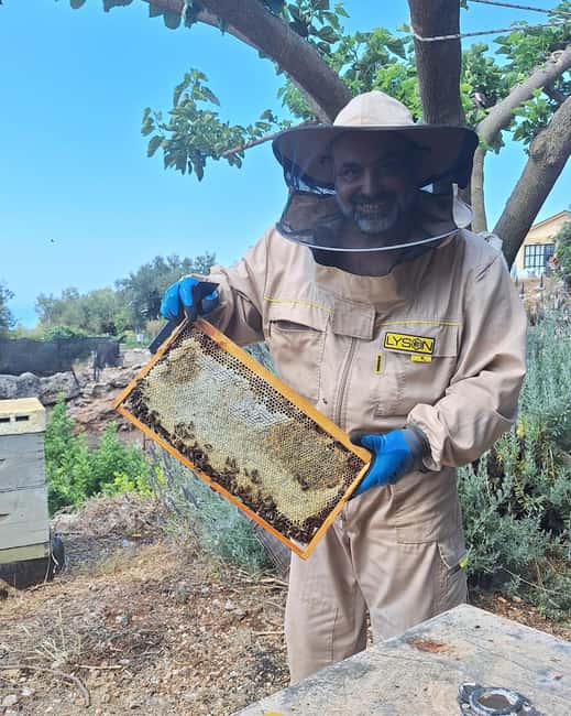 Kefalonia: Private Food and Wine Tastings with Beach Stop - Practical Details: Pacing, Comfort, and Group Size