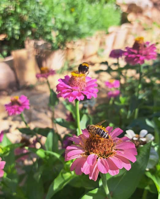 Kefalonia: Private Food and Wine Tastings with Beach Stop - Logistics and Booking Flexibility