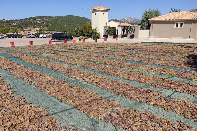 Kefalonia: Private Olive Oil, Honey & Wine Tasting Experience - The Experience of the Stops and Tastings