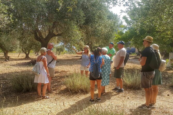 Kefalonia: Private Olive Oil, Honey & Wine Tasting Experience - Who Will Appreciate This Tour Most