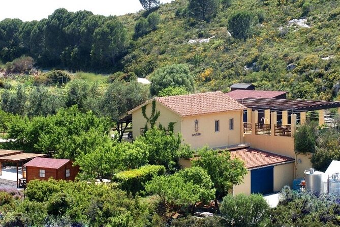 Kefalonia Private Wine Tour - Logistics: Comfort and Convenience