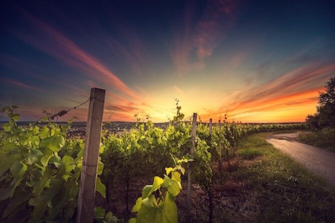 Kefalonia Private Wine Tour - Who Will Enjoy the Kefalonia Private Wine Tour?