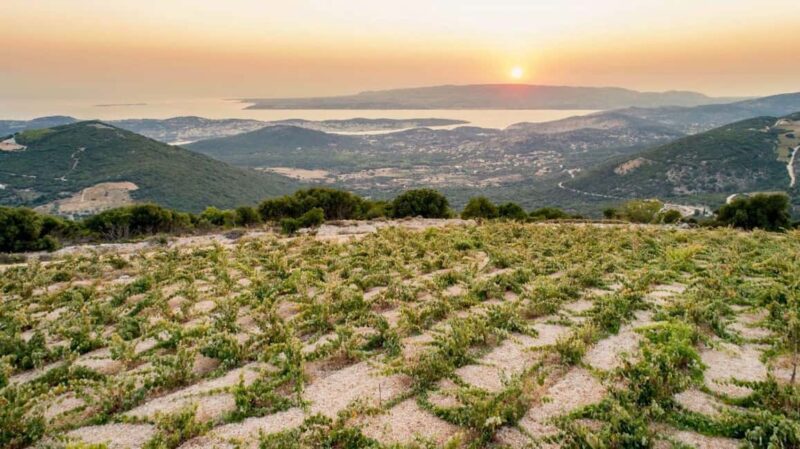 Kefalonia: Private Wine Tour - Walking Through the Ruins of Palaia Vlachata