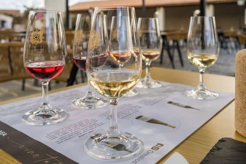 Kefalonia: Private Wine Tour - Logistics and Comfort for a Stress-Free Day