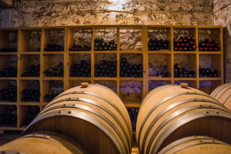 Kefalonia: Sclavos Estate Wine Tasting and Vineyard Tour - The Experience for Food and Wine Connoisseurs