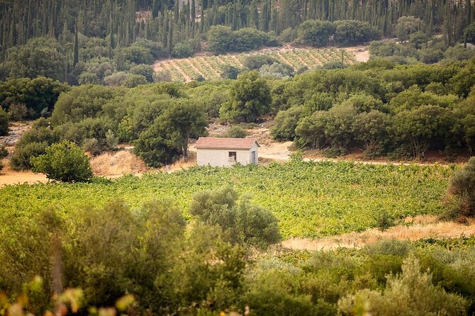 Kefalonia Wine Adventure in 3 Wineries With Tastings - Tasting Experience with Local Delicacies