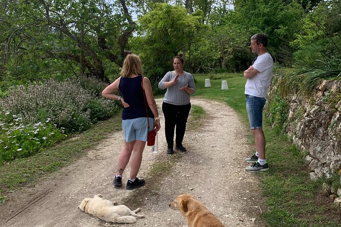 Kefalonia Wine Tour on E-Bikes - The Return Ferry and Tour End at Hotel King A