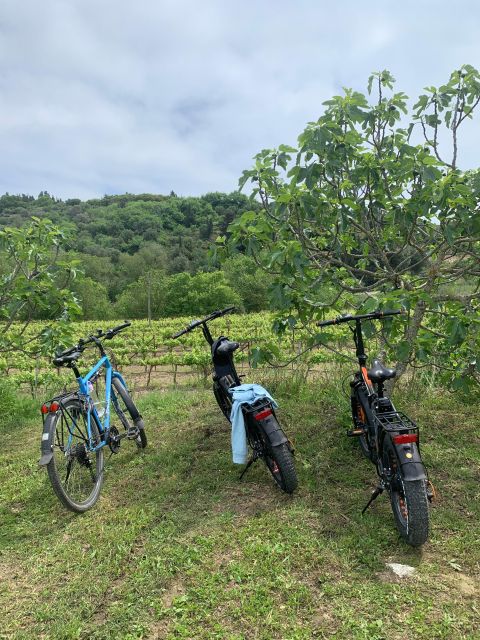Kefalonia Wine Tour on E-Bikes - The Start at Alpha Cycling Holidays in Argostoli