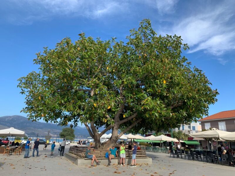 Kefalonia Wine Tour on E-Bikes - Why This Kefalonia Wine Bike Tour Shines