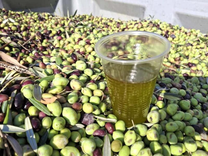 Kefalonia:Private Olive Oil, Honey & Wine Tasting Experience - Discover Kefalonia’s Flavors in a Private 5-Hour Tour