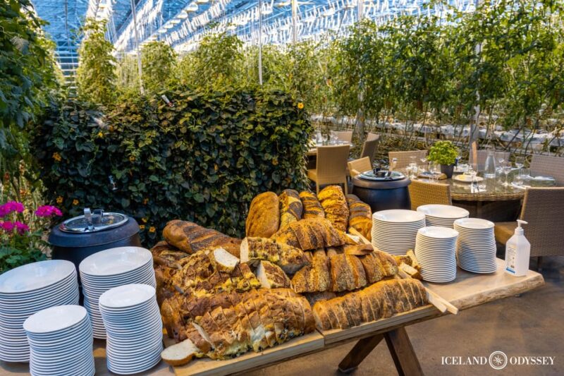 Keflavik: Golden Circle Private Tour with Airport Pickup - Visiting a Horse Farm: Learning About Icelandic Horses