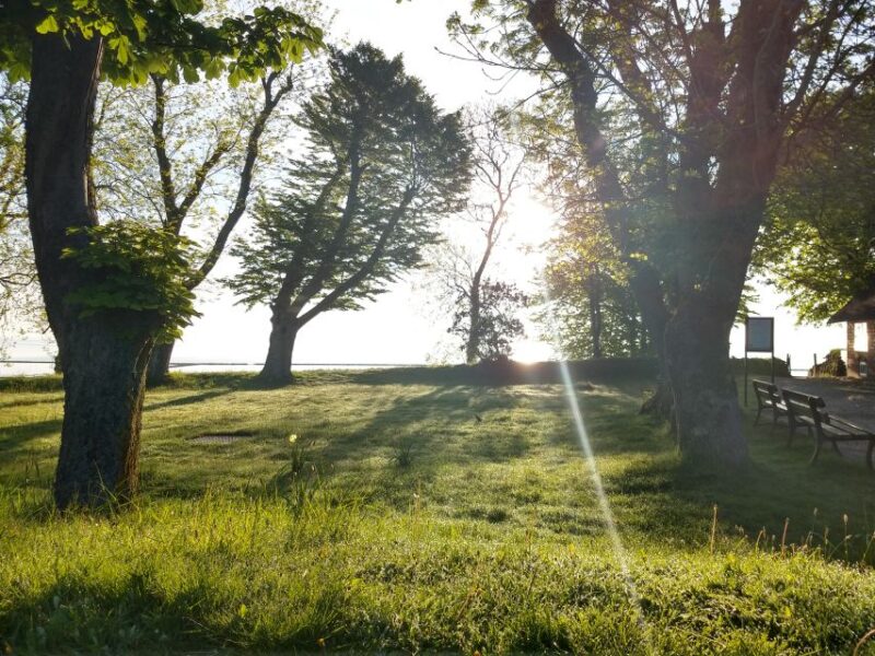 Keitum: Guided Village Walking Tour - The Unique Experience Prepared by Jörg Ridder