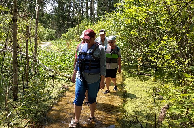 Kelleys Island Kayak Treasure Tour - Discovering North Pond State Nature Preserve