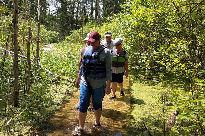 Kelleys Island Kayak Treasure Tour - Meeting Point and Practical Details