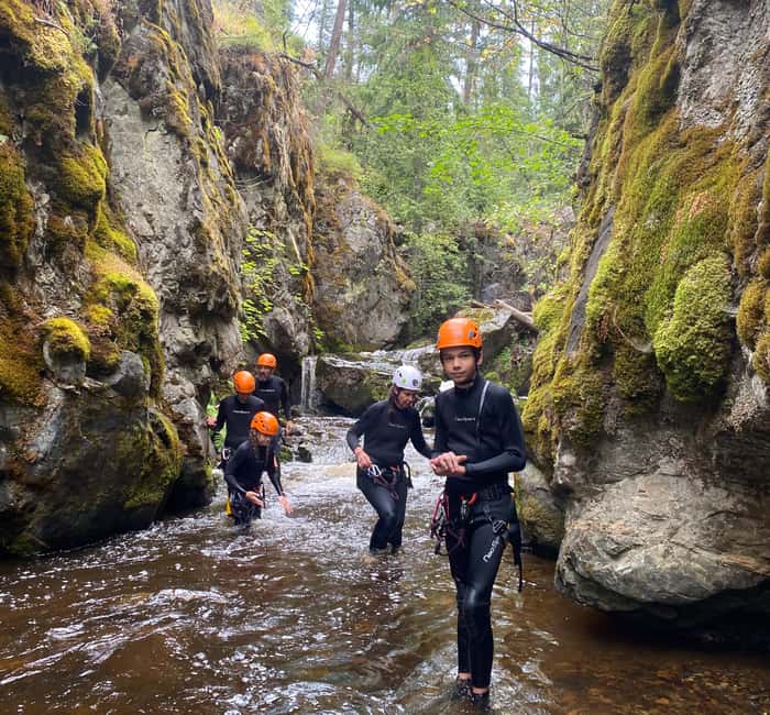 Kelowna: Adrenaline Canyoning Tour - The Experience in All Seasons