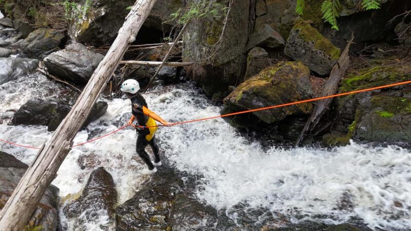 Kelowna: Adventure Canyoning Tour - Discover Kelownas Adventure Canyoning Experience for $191