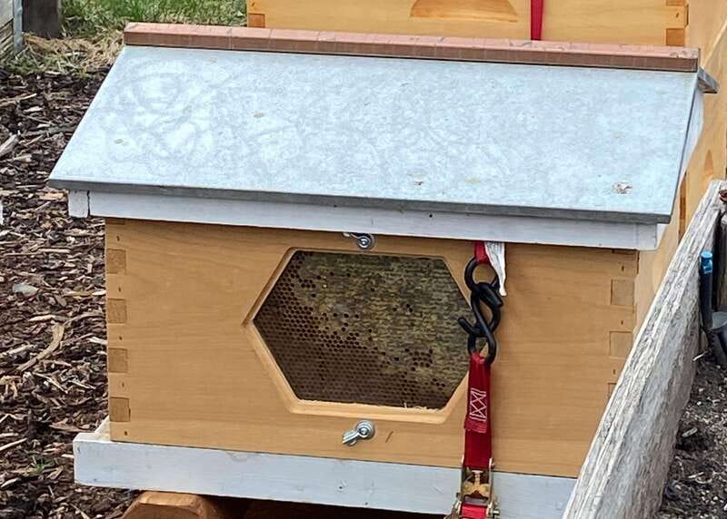 Kelowna: E-Bike Bee Tour w/ Tastings, Lunch, and Audioguide - Tasting Artisanal Honeys Infused with Local Flavors