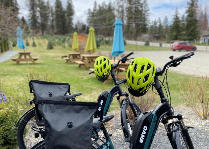 Kelowna: E-Bike Bee Tour w/ Tastings, Lunch, and Audioguide - Farm-to-Table Lunch at Meadow Vista Bistro