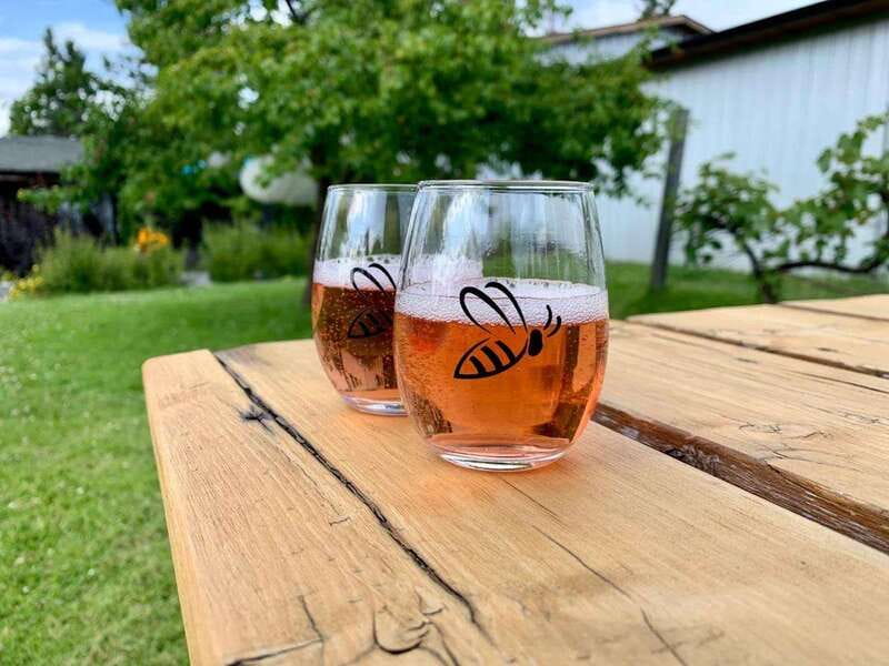 Kelowna: E-Bike Bee Tour w/ Tastings, Lunch, and Audioguide - Souvenir Video and Post-Trip Comforts