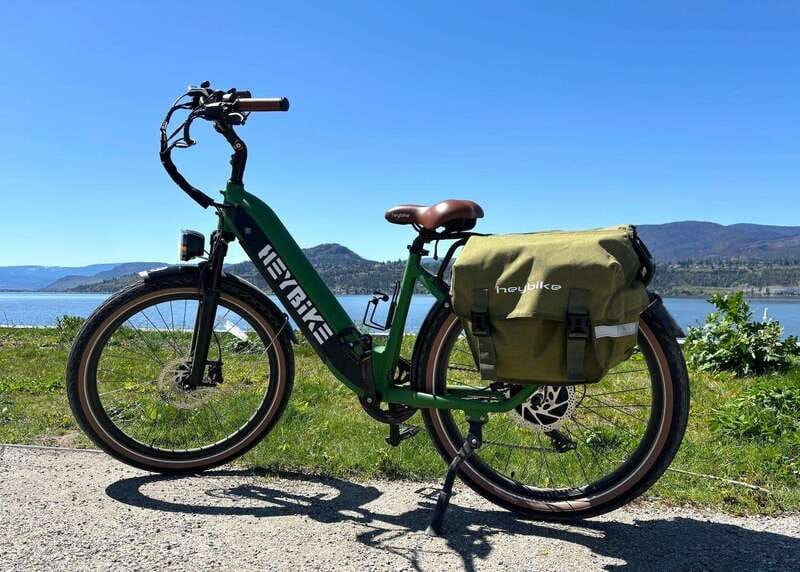 Kelowna E-Bike Gold Panning Expedition - Gold Panning Instruction: Discover Kelowna’s Gold Rush Past