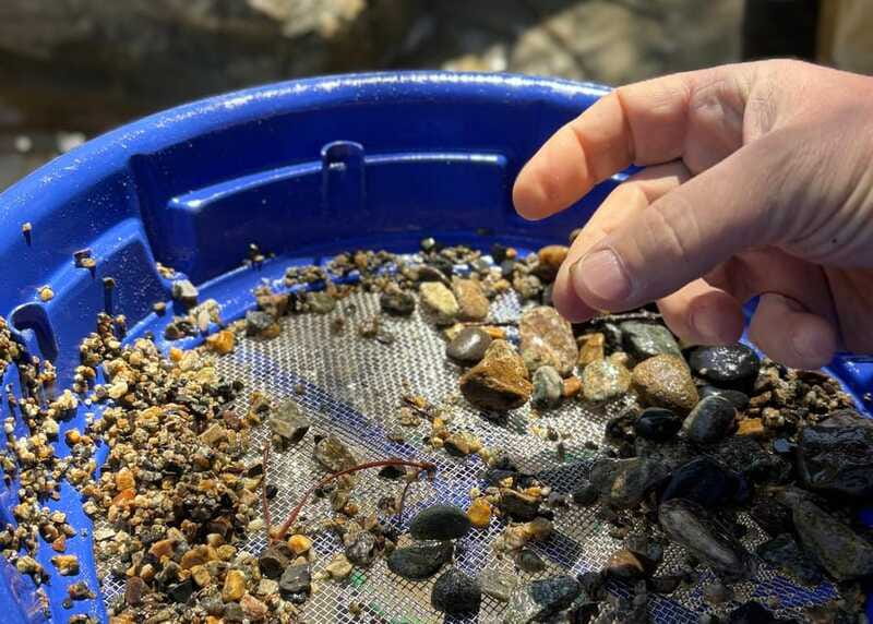 Kelowna E-Bike Gold Panning Expedition - The Reviews: Highlights from Participants