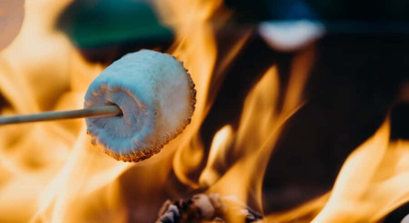 Kelowna Fireside Warm-Up: Wine Tasting, Smores & Mulled Wine - Guided Honey Wine Tasting: Discovering Kelowna’s Local Flavors