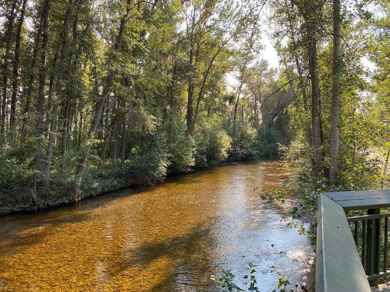 Kelowna: Mission Creek Salmon Run Audio Tour by E-Bike - The Experience: Scenic, Educational, and Eco-Conscious