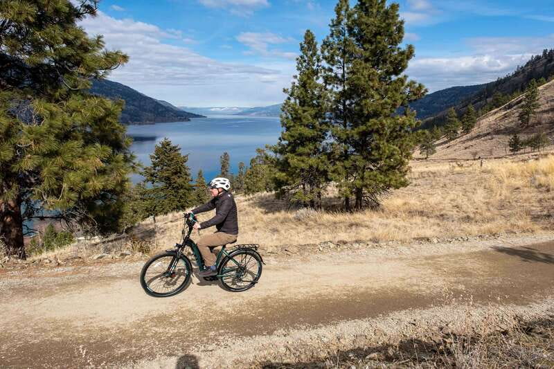 Kelowna: Okanagan Lake Guided E-Bike Tour with Picnic - The Highlight: A Local Artisanal Picnic with Lake Views