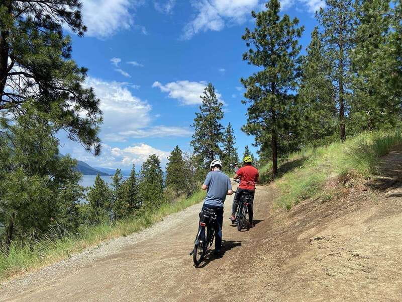 Kelowna: Okanagan Lake Guided E-Bike Tour with Picnic - Kelowna: A Scenic Ride with a Tasty Reward